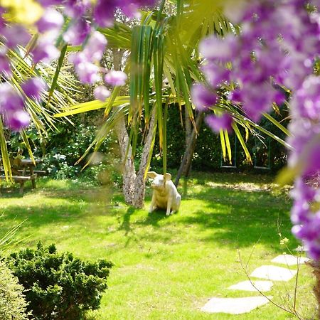 La Cabane D'Arbolateia Piscine & Spa Bidart Dış mekan fotoğraf