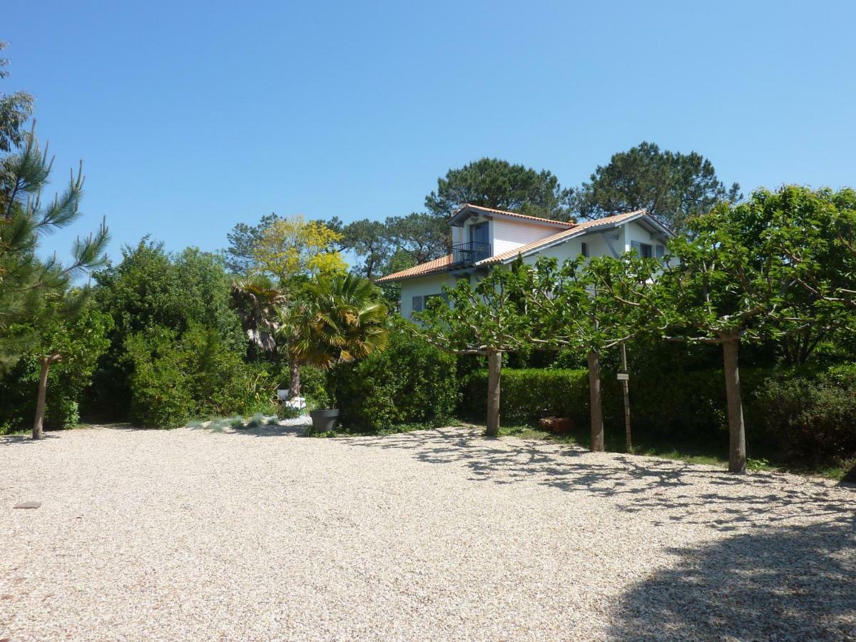 La Cabane D'Arbolateia Piscine & Spa Bidart Dış mekan fotoğraf